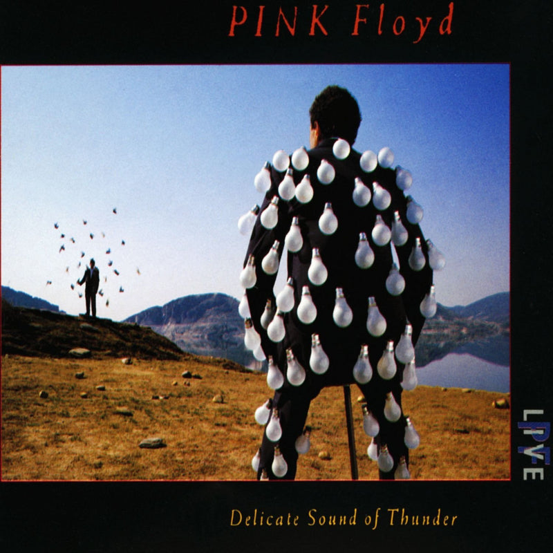  |  Vinyl LP | Pink Floyd - Delicate Sound of Thunder (2 LPs) | Records on Vinyl