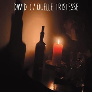  |  7" Single | David J - Quelle Tristesse (Single) | Records on Vinyl