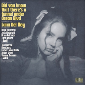  |  Vinyl LP | Lana Del Rey - Did you know that there´s a tunnel under ocean blvd (2 LPs) | Records on Vinyl