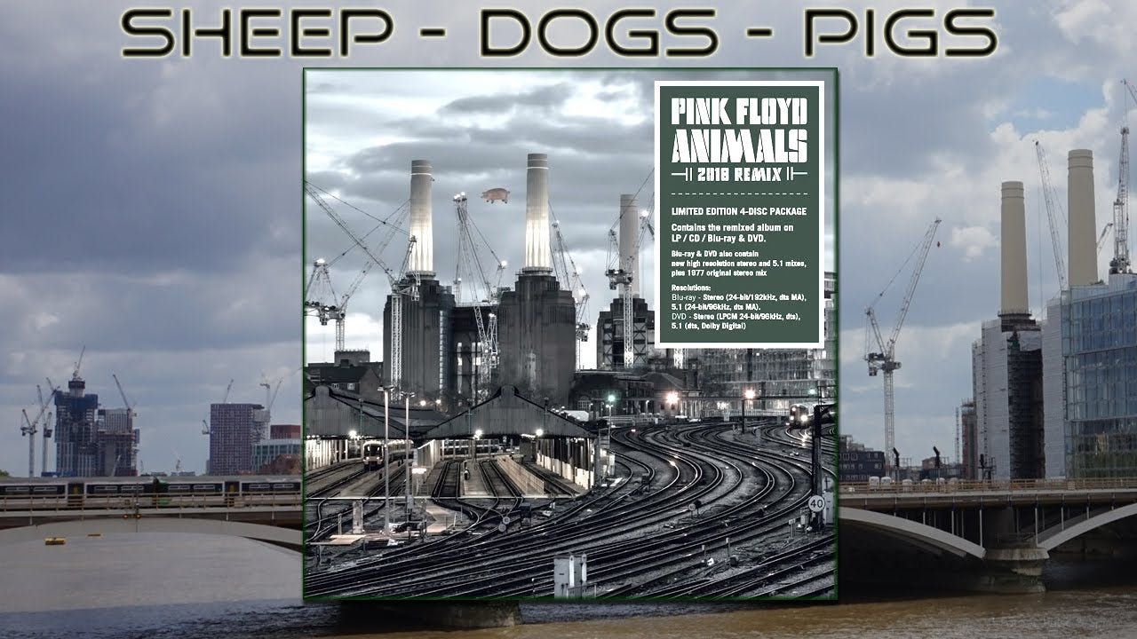  |  Vinyl LP | Pink Floyd - Animals (2018 Remix) (LP+CD+DVD+Blu-ray+Book)) | Records on Vinyl