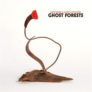  |  Vinyl LP | Meg Baird & Mary Lattimore  - Ghost Forests (LP) | Records on Vinyl