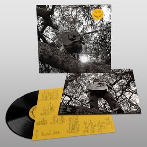  |  Vinyl LP | Ty Segall - "Hello, Hi" (LP) | Records on Vinyl