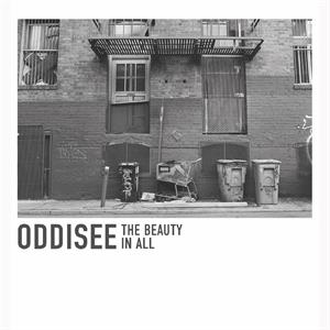  |  Vinyl LP | Oddisee - Beauty In All (LP) | Records on Vinyl