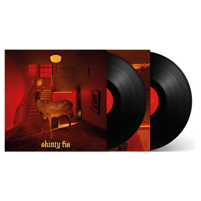  |  Vinyl LP | Fontaines Dc - Skinty Fia (2 LPs) | Records on Vinyl