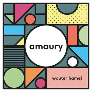 Wouter Hamel - Boys Town |  Vinyl LP | Wouter Hamel - Amaury (LP) | Records on Vinyl